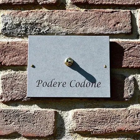 Podere Codone * Ficulle