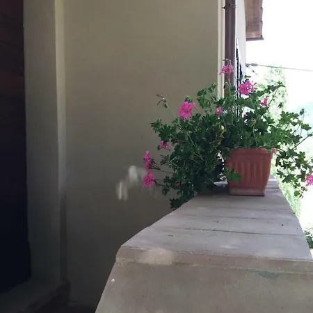 Podere Codone Ficulle