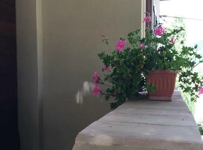 Podere Codone Ficulle